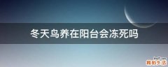 冬天鸟养在阳台会冻死吗