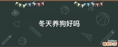冬天养狗好吗