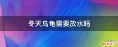 冬天乌龟需要放水吗