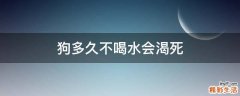 狗多久不喝水会渴死