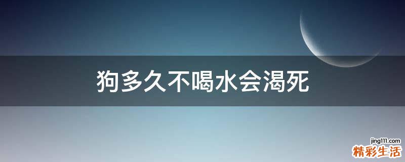 狗多久不喝水会渴死