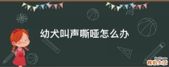 幼犬叫声嘶哑怎么办