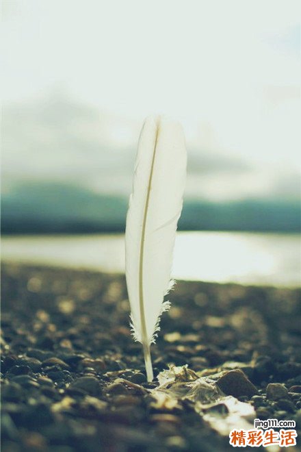 2 三招腮红的画法轻熟女齐减龄