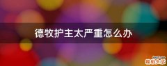 德牧护主太严重怎么办