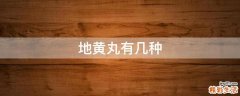 地黄丸有几种