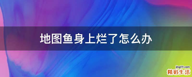 地图鱼身上烂了怎么办