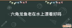 六角龙鱼老在水上漂着好吗