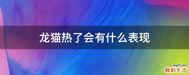 龙猫热了会有什么表现