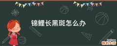 锦鲤长黑斑怎么办