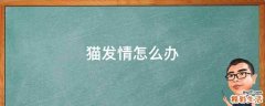 猫发情怎么办