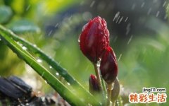 小资女人易得五大心理“绝症”