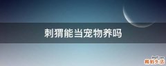 刺猬能当宠物养吗