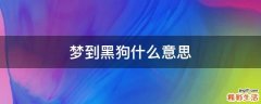 梦到黑狗什么意思