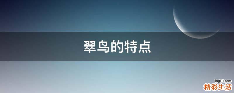 翠鸟的特点