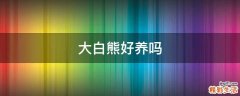 大白熊好养吗