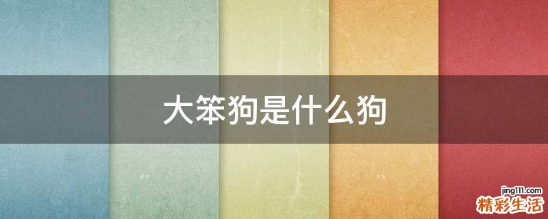 大笨狗是什么狗