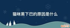 猫咪黑下巴的原因是什么