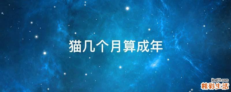 猫几个月算成年