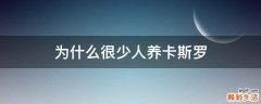 为什么很少人养卡斯罗