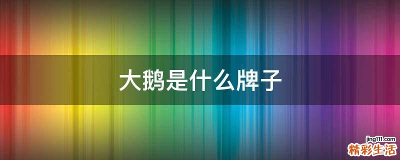 大鹅是什么牌子