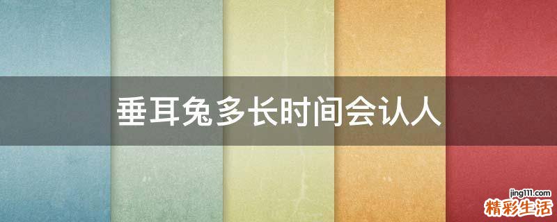 垂耳兔多长时间会认人