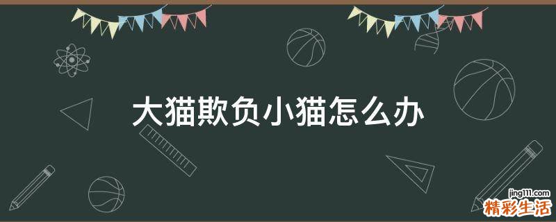 大猫欺负小猫怎么办