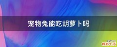 宠物兔能吃胡萝卜吗