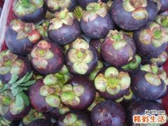 山竹的功效与作用