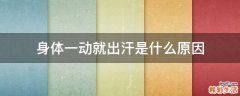 身体一动就出汗是什么原因