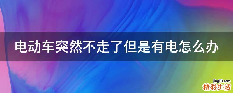 电动车突然不走了但是有电怎么办