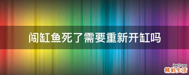 闯缸鱼死了需要重新开缸吗