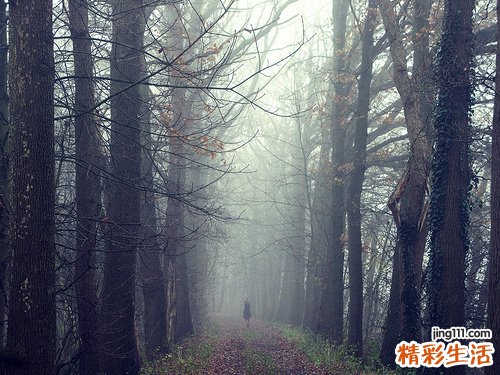 黄日华老婆血癌病愈现身 不同类型白血病生存率多高