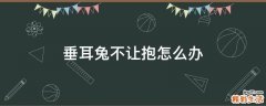 垂耳兔不让抱怎么办