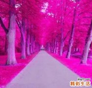 韩式无痕去眼袋价位如何
