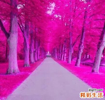 韩式无痕去眼袋价位如何