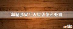 车辆脱审几天应该怎么处罚
