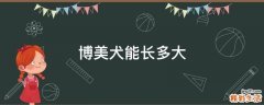 博美犬能长多大