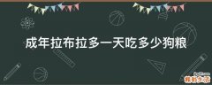 成年拉布拉多一天吃多少狗粮