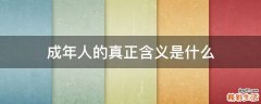 成年人的真正含义是什么