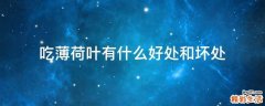 吃薄荷叶有什么好处和坏处