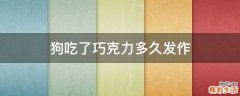 狗吃了巧克力多久发作