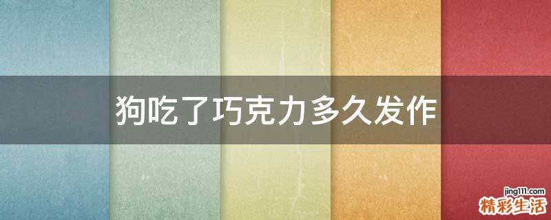 狗吃了巧克力多久发作