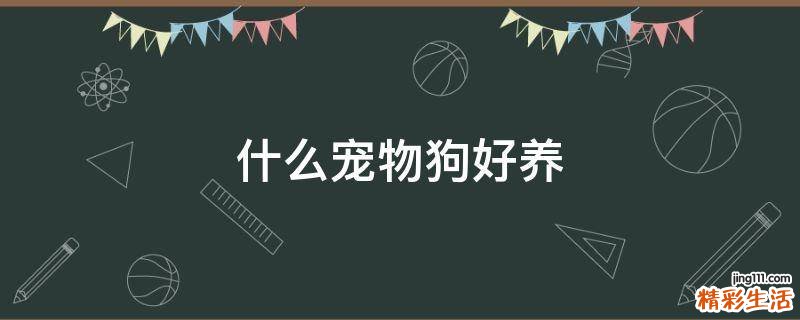 什么宠物狗好养