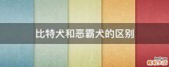 比特犬和恶霸犬的区别