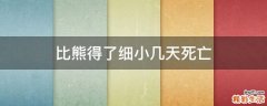 比熊得了细小几天死亡
