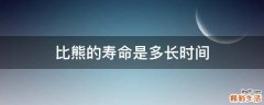 比熊的寿命是多长时间