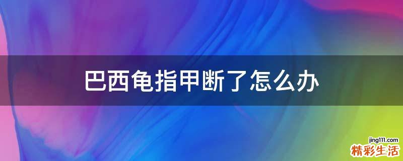 巴西龟指甲断了怎么办
