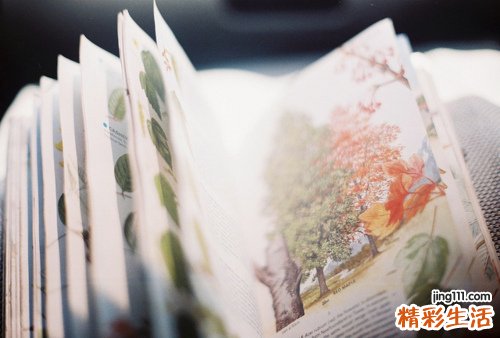 3 柃寄生