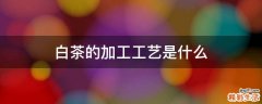 白茶的加工工艺是什么