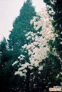 4 彩妆大师画出撞色眼影打造油画般美感